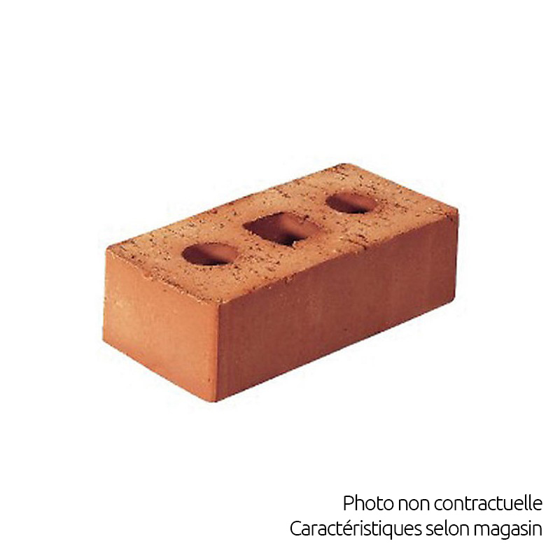 Brique de construction 3 trous 21cm x 6cm x 10cm